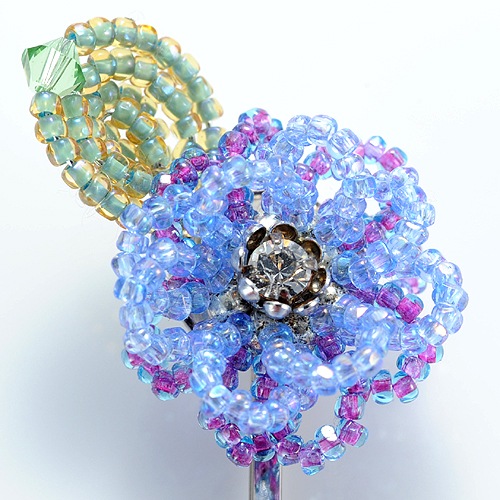 ֥إԥ֥롼  ںȡ¼ƻҡʥץ󥹡ˡ