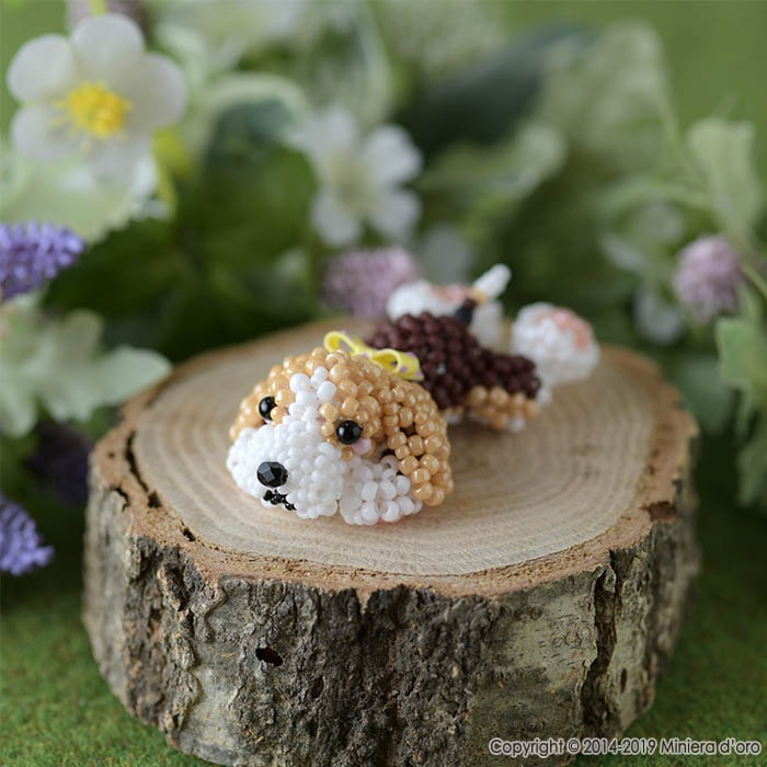 ޤä긤ӡJules  ںȡMiniera doro