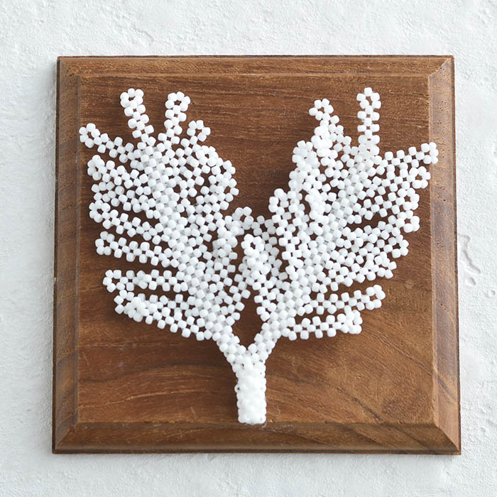 ӡå12ݥ󥻥  ڥӡޥ˥