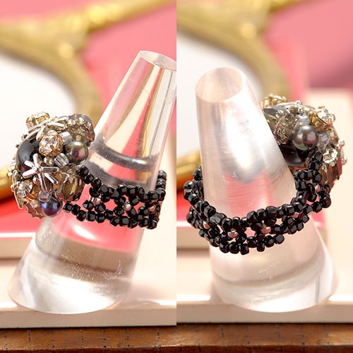 ��2/19 �����١� ø��ѡ���ȥ��˥����Υ������ꥹ�����  �ں�ȡ���¼ƻ�ҡʥץ������󥹡ˡ�