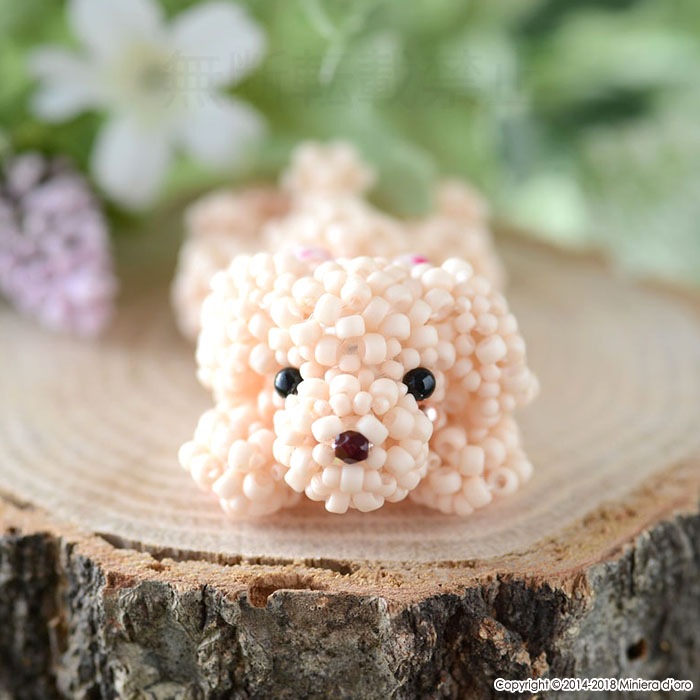 �ޤä��긤���ȥ��ס��ɥ�Coco��  �ں�ȡ�Miniera d��oro��