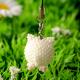 �ˤ��ˤ��������ˤ�����  �ں�ȡ����ΤϤ�ߤ��Little��B��.�ˡ�