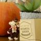 �ѡ��ƥ����ƥǥ��٥���Jayden�� �ں�ȡ�Miniera d��oro��