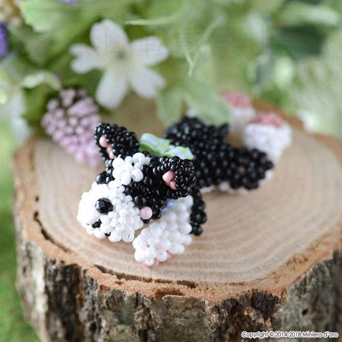 ��9/29 �����١� �ޤä��긤���ܥ��ȥ�ƥꥢLeo��  �ں�ȡ�Miniera d��oro��