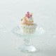 ��6/24 NEW�� �ꥢ�󡦥��ࡼ�� �ڥӡ����ޥ˥���