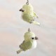 ��1/26 �����١� Happy��Bird�ʤ���������  S-107 �ں�ȡ�Shinon* ���襤���Τ֡�