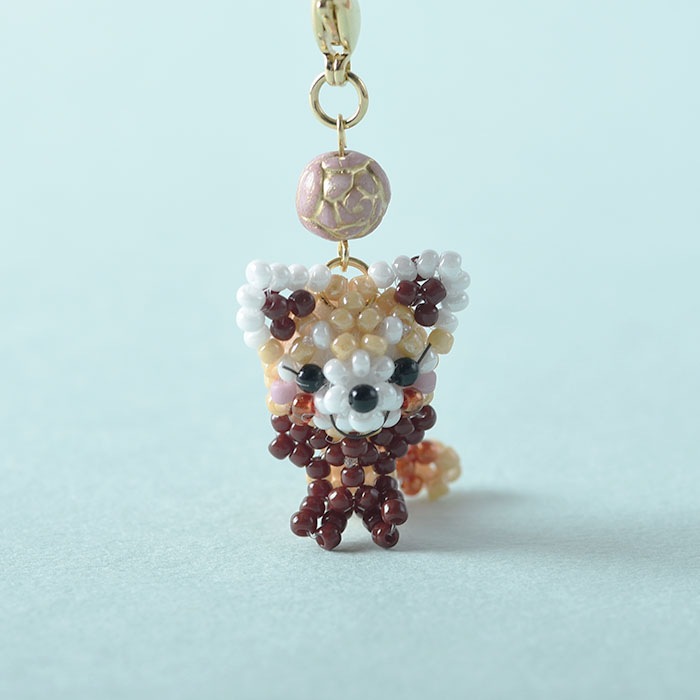 ��6/25 NEW�� ���ӥ�å����ѥ�������Ӥ��餤���� �ں�ȡ�arco iris ��� ������