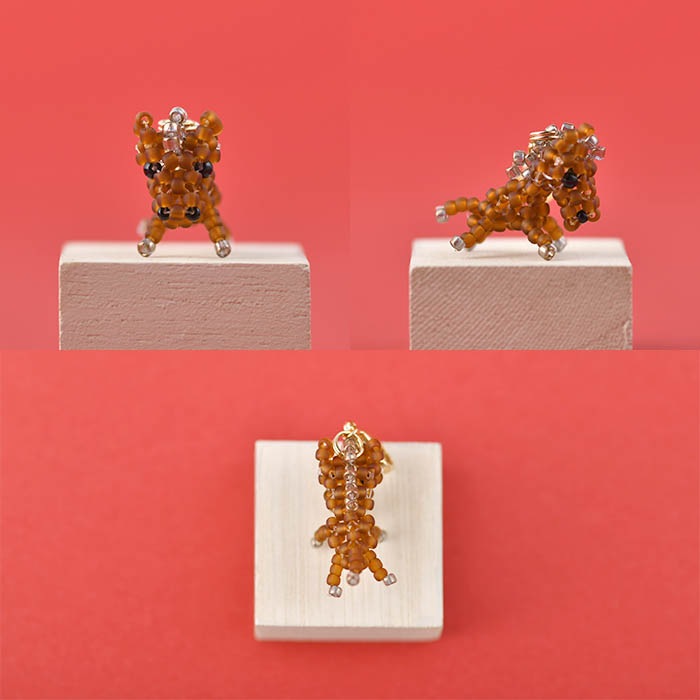 ��12/23 NEW�� �����夰��ߡڸ��  �ں�ȡ�arco iris ��� ������