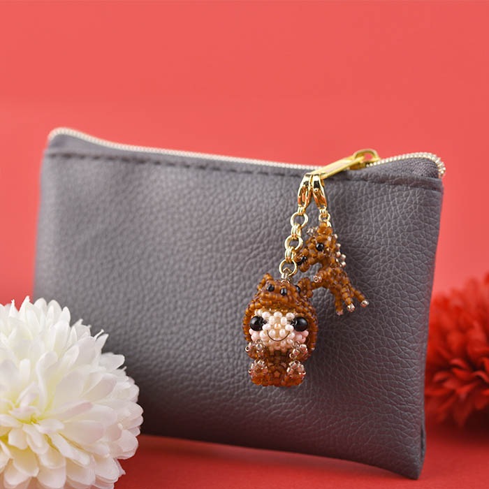 ��12/23 NEW�� �����夰��ߡڸ��  �ں�ȡ�arco iris ��� ������