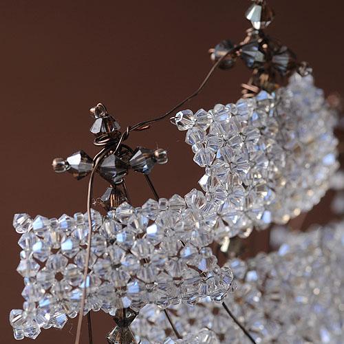 ��12/4 �����١� ����  �ں�ȡ����ФΤ֤��