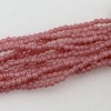 チェコ　ラウンド 2mm　コーラルピンク　1ストランド(約100個)