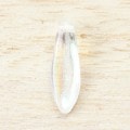�ں߸˸¤�ۥ������ӡ���/������ 15.5��5mm���ꥹ����AB