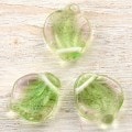 �ں߸˸¤�ۥ������ӡ���/�ե��ڥ��� ���� 12��15mm�饤�ȥ��꡼��