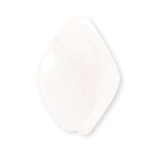 �ں߸˸¤�ۥ������ӡ���/�ĥ����ƥå� ��19��13mm�ۥ磻�ȥ��ͥ���