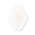 �ں߸˸¤�ۥ������ӡ���/�ĥ����ƥå� ��19��13mm�ۥ磻�ȥ��ͥ���