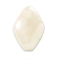 �ں߸˸¤�ۥ������ӡ���/�ĥ����ƥå� ��19��13mm�����ܥ꡼�饹����
