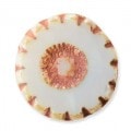 �ں߸˸¤�ۥ������ӡ���/�ơ��֥륫�å� ����ե� 12mm���졼