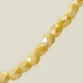 ���åȥ��饹/�����Х륫�å� 3��2.7mm�����।������