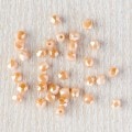 ���饹�ӡ���/�Х���î�˥��å� 4mm�饤�ȥȥѡ���