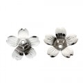 �ں߸˸¤�ۥ����ꥢmenoni�����᥿��ѡ���/�ե��ѡ��� 15��15��5mm�������५�顼