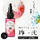 ������SALE��70%OFF��UV��LED�б� ��Ʃ���٥쥸��ա�ݦ������7�������ڥ쥸��/resin/���Ť�Υ쥸���/�ϥ�ɥᥤ��/���/���ꥢ�������꡼��