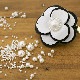 �Υ�ۡ���ѡ��� �ۥ磻�� 1.5mm��̵��ѡ���/��̵���ѡ���/�ӡ���/���/����/�쥸��/resin/���쥤���������꡼/�ǥ���