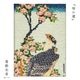 ��������ɥե��å��� �ֺ�����סڳ���̺�/�̺�/hokusai/japan/���ܲ�/���͡�