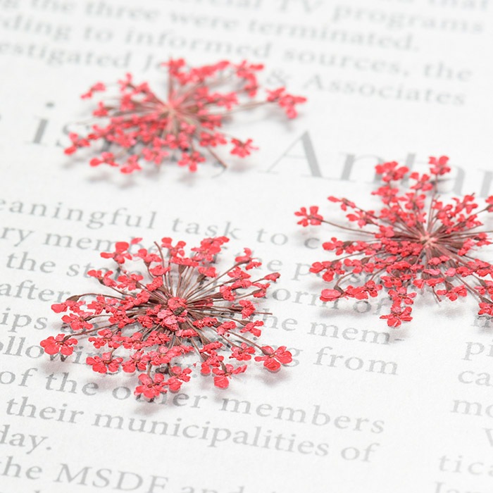 �ɥ饤�ե��ʲ����֡� �졼���ե� ��åɡ��������/�����ѡ���/�쥸��/resin/�ϥ�ɥᥤ��/���/���ꥢ�������꡼/�ֻ���