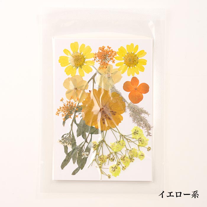 ֥ȡ2025SS/쥸/ޥɥ/ϥɥᥤ//ե/ֻ/ʪ