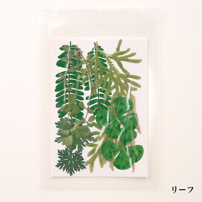 ֥ȡ2025SS/쥸/ޥɥ/ϥɥᥤ//ե/ֻ/ʪ