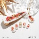 ����եȥ����� CG-1���ꥢ�ȥåסڥ��顼�쥸��/�����ȥ쥸��/resin/�ϥ�ɥᥤ��/���/���ꥢ�������꡼/����եͥ����