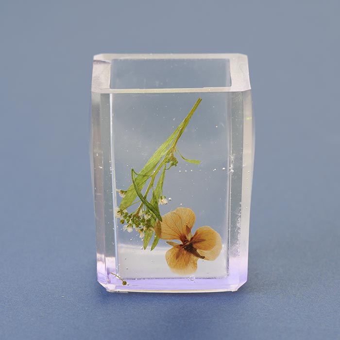 ꥳ⡼ ޤ 2쥸侩/resin/ϥɥᥤɻ//