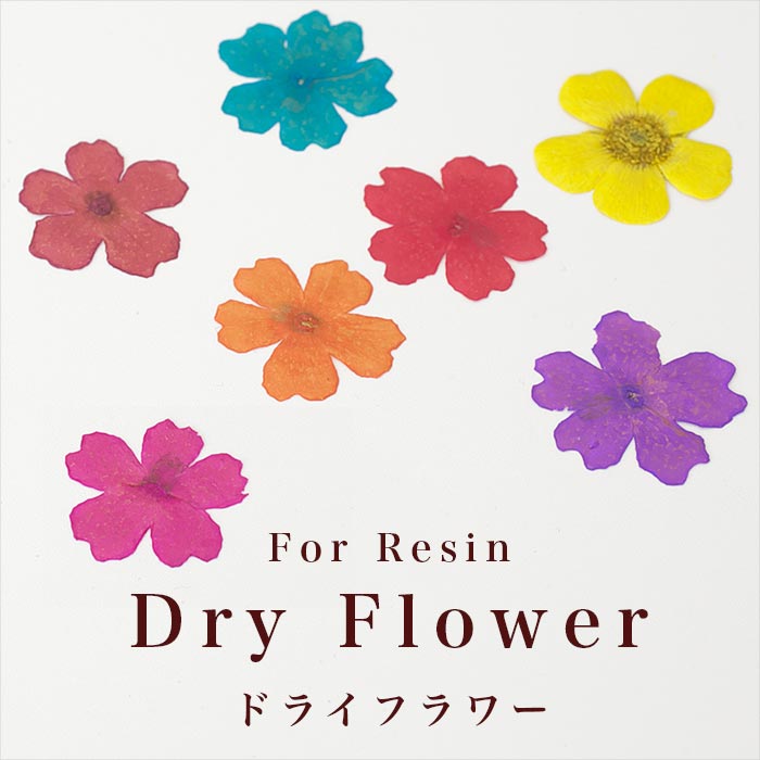 �ɥ饤�ե��ʲ����֡�  �ԥ󥯡��������/�����ѡ���/�쥸��/resin/�ϥ�ɥᥤ��/���/���ꥢ�������꡼/�ֻ���