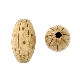 �ں߸˸¤�ۥ�����ơ������åɥӡ���/�ʥĥ� �ɥå� 20��12mm/�᡼�ץ�