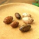 �ں߸˸¤�ۥ�����ơ������åɥӡ���/�ʥĥ� �ɥå� 20��12mm/�᡼�ץ�