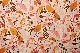 ȾSALE۾ͤο/Le Petit Bonheur Collection03La for&#234;t des secretsסں߸˸¤/YoHosoyamada/ٻ/////ե֥å