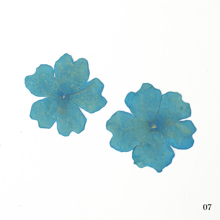 �ɥ饤�ե��ʲ����֡� �������������������/�����ѡ���/�쥸��/resin/�ϥ�ɥᥤ��/���/���ꥢ�������꡼/�ֻ���