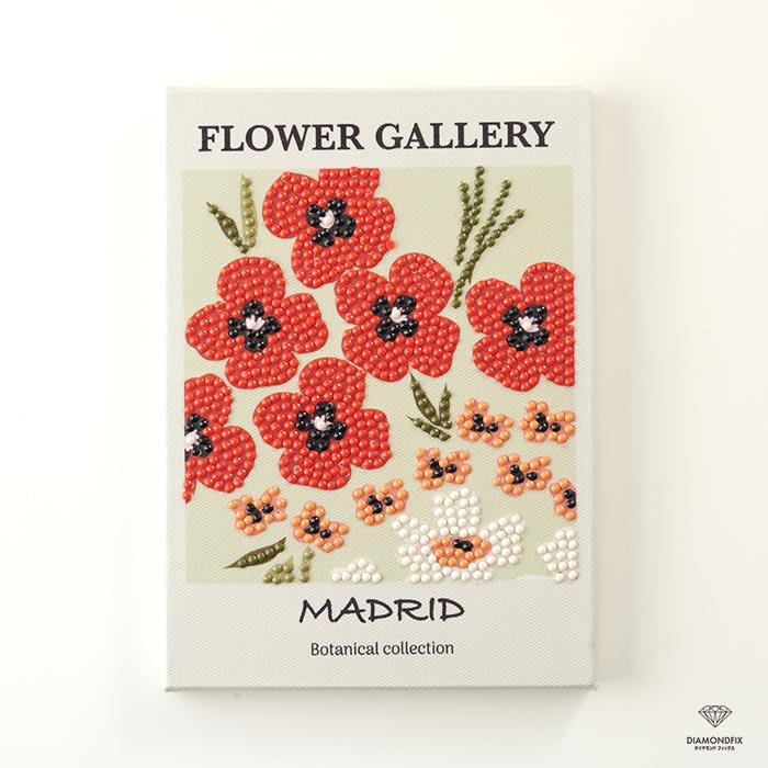 ���å�/��������ɥե��å��� �ܥ��˥��륳�쥯�����֥ޥɥ꡼�ɡ�