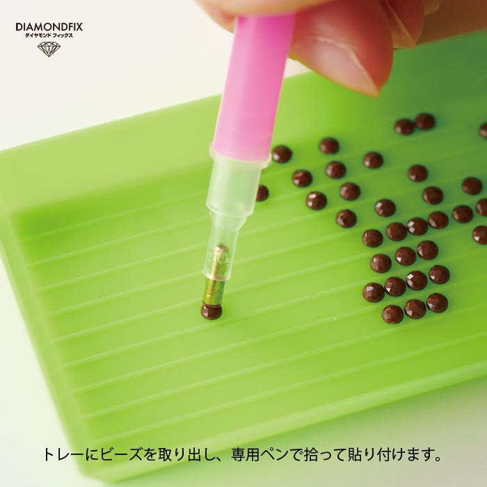 ���å�/��������ɥե��å��� �ܥ��˥��륳�쥯�����֥ޥɥ꡼�ɡ�