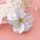 �֤Ӥ�ѡ���B ��26mm�ޥåȥ饤�ȥ֥롼�ں߸˸¤�/�������ӡ���/�ե��ѡ���/�ϥ�ɥᥤ�ɥ��������꡼/���/�����