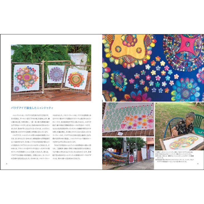 �ѥ饰����������������Υ졼�� �˥��ɥ��ƥ�: ���������ͤȺ���� (��)��ë �ߤ������