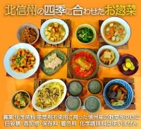 【送料無料】どんぐりキッチン手作り季節のお惣菜詰合せ5品セット
