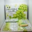 長野シャインマスカットミニパイ14個入(信州長野県のお土産 お菓子 お取り寄せ スイーツ ギフト)