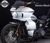 Advanblackե󥰡ǥ˥֥å STLF