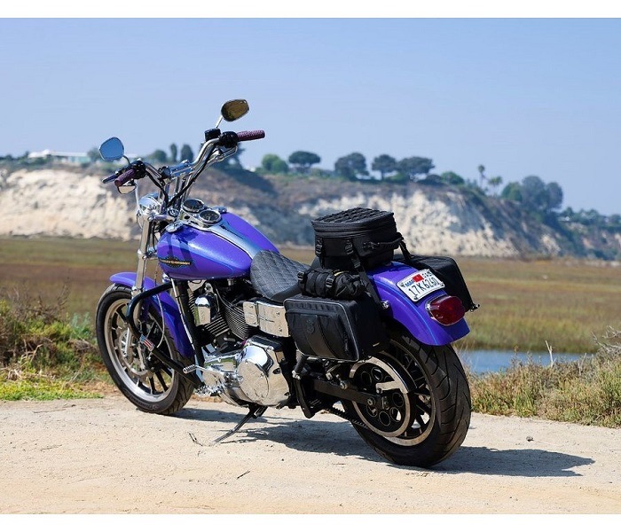 NELSON RIGGɥХå ɥȥå 3501-1730