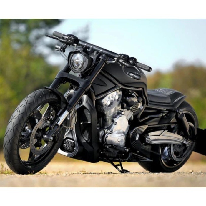 TOMMY & SONS��V-ROD��PHOTON �ե�ܥǥ����å� ��Ω�ե������� TS-HD-UNI-303s-2