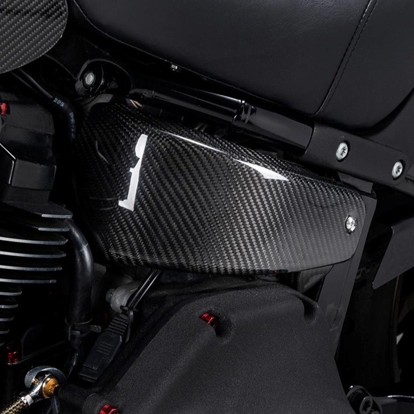 Advanblack������դ� �����ɥХåƥ꡼���С��������ܥ�ե����С� CFBC