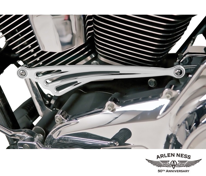ARLEN NESS��DEEP CUT FLAT ���եȥ�󥱡������������� 19-912