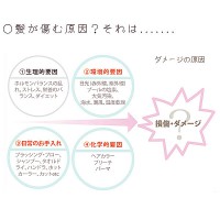 たっぷりコラーゲンのもっちり極上泡で髪を洗う☆ケタ外れの成分浸透力♪「高純度」でノンシリコン！PiM ピムシャンプー1000ml