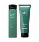 �ѥ��ե��å��ץ������� ���륰 �����ס� 300mL & �إ��ѥå� VO 230g ���åȡ������ʺǰ��ͤ�ĩ���